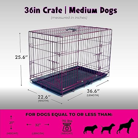Pet Expressions Luxury Colorful 36" H Foldable Dog Crate With 2 Doors-Free Training E-Book And Pet Calming Music-Foldable