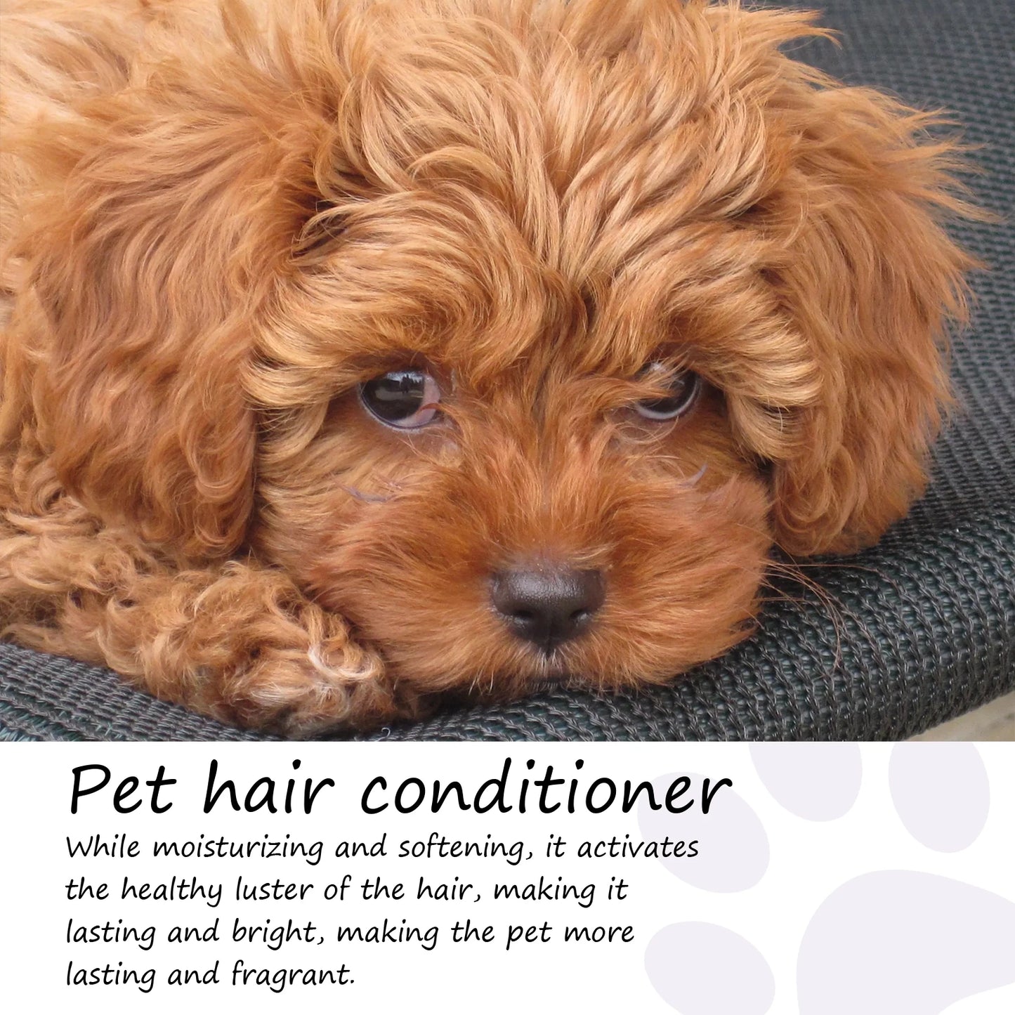 50ml Non-Knotted Pet Hair Care Cream- Moisturizes Care- Pet Hair Conditioner