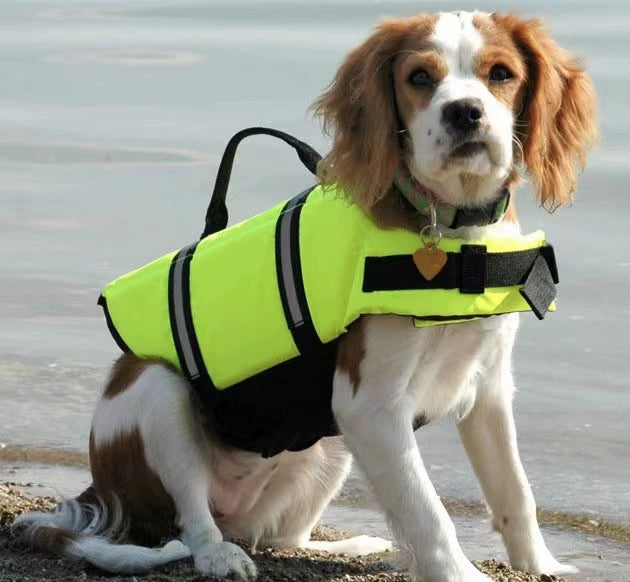 Dog Swim Suit- Water Vest Small Size Dogs