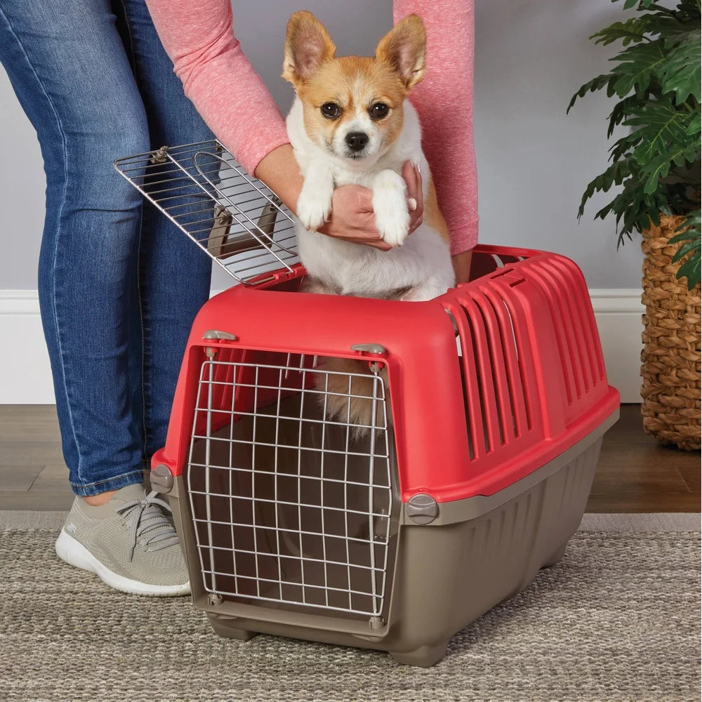 24 Inch Pet Carrier- Small Dogs- Easy Assembly- Durable- Plastic Travel Crate with Metal Door and Carry Handle