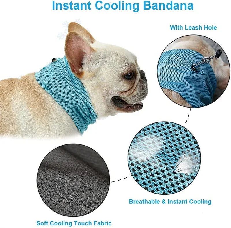 Summer Ice Dog Collar- Reusable Physical Instant Cooling Bandana with Leash- Holes Prevent Heat Stroke- Outdoor Breathable Pet Scarf