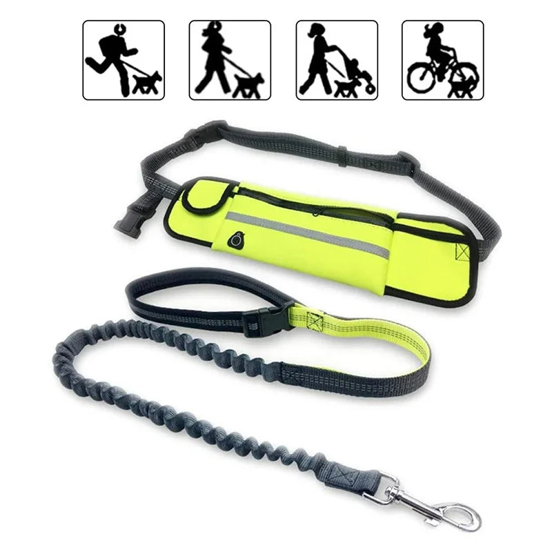 Hands Free Dog Leash with Zipper Pouch- Reflective Bungee for Medium Dogs- Walking Jogging and Running