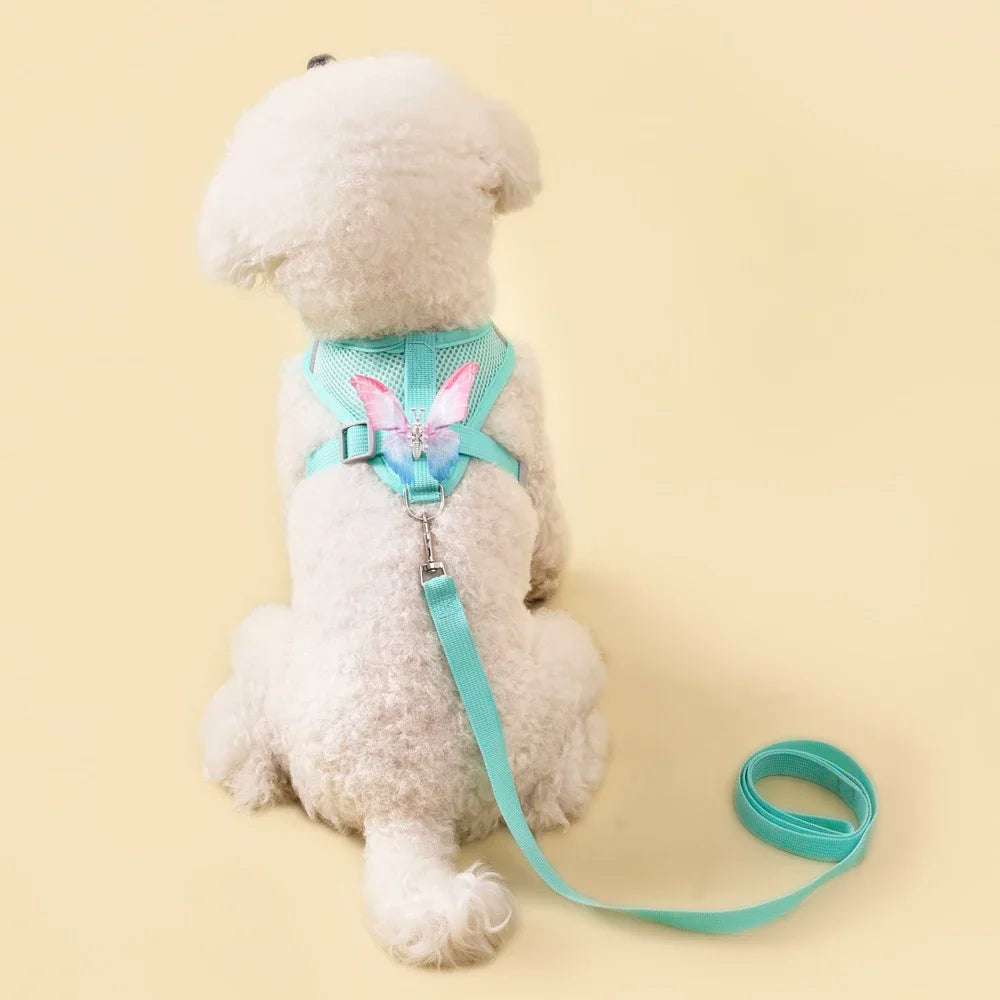 Cute Butterfly Breathable Dog Harness Set for Small Dogs- Vest-Leash