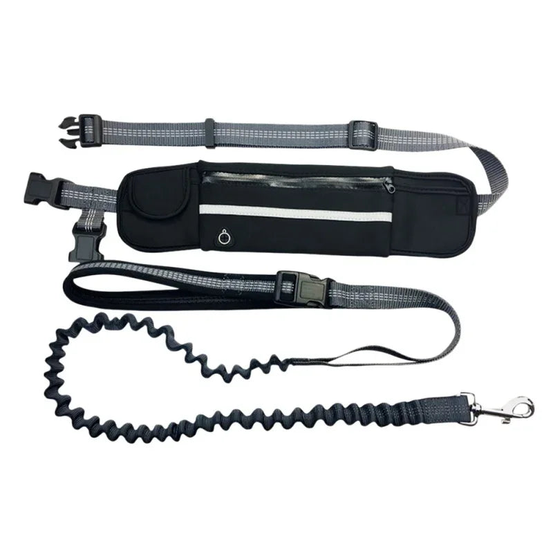 Hands Free Dog Leash with Zipper Pouch- Reflective Bungee for Medium Dogs- Walking Jogging and Running