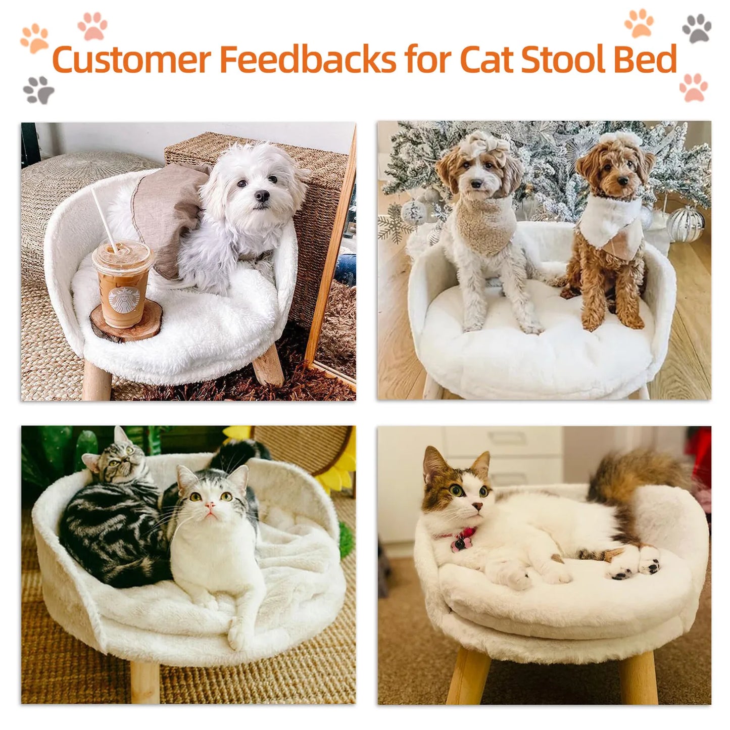 Pet Sofa Bed- Raised Chair- Small Dog Couch Bed -Removable Cushion- Sleep House