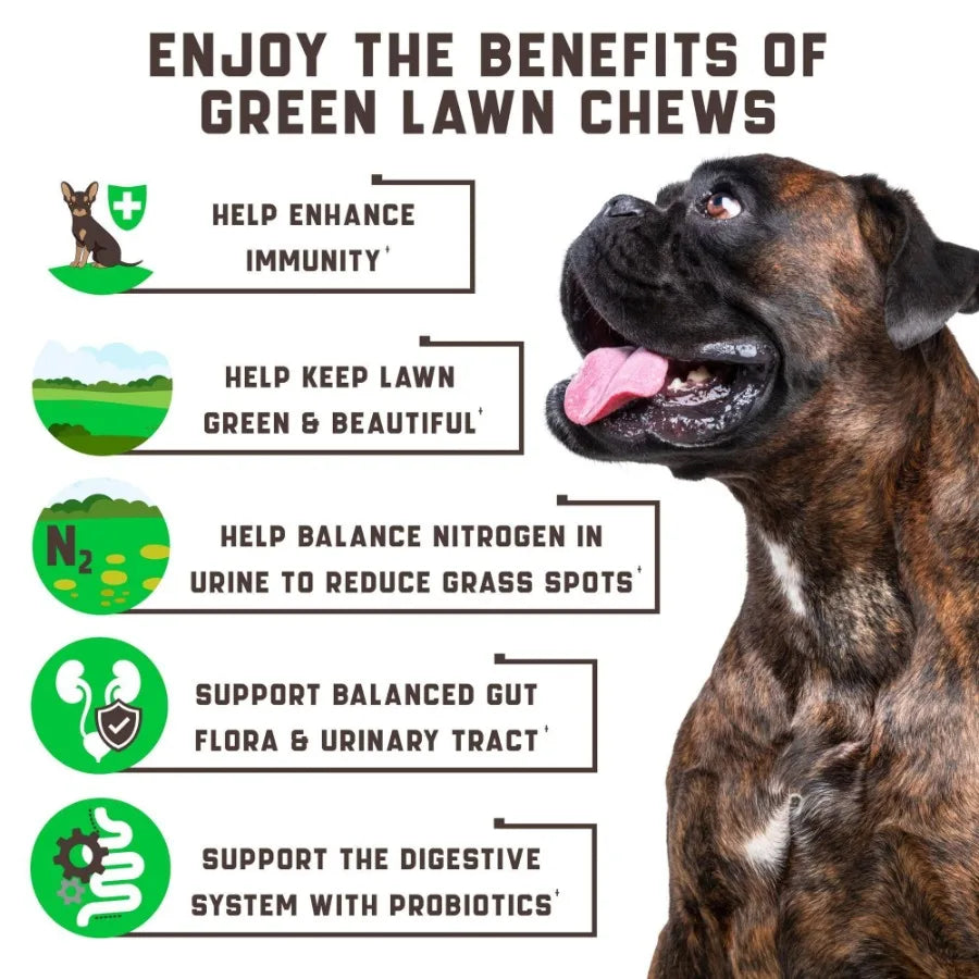 Green Lawn Chews for Dogs- Cranberry ACV Digestive Enzymes Natural Dog Urine Neutralizer for Lawn- Supports Healthy Bladder