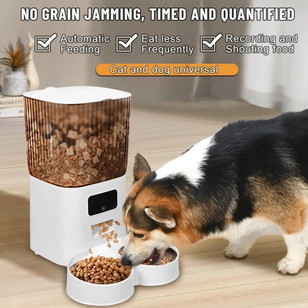 Smart Pet Feeder with Dual Bowls - 5L Transparent Storage, WiFi APP Control, Automatic Timed Dispensing for Cats or Dogs, Battery