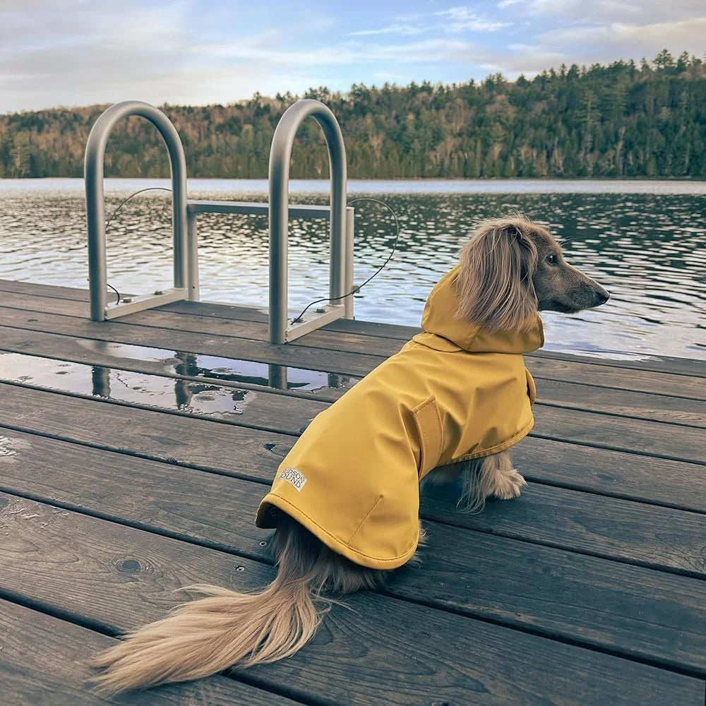 Dachshund Raincoat Long Dog Waterproof Jacket Adjustable Chest Belly Harness Access Windproof Weather Resistant Small Dogs
