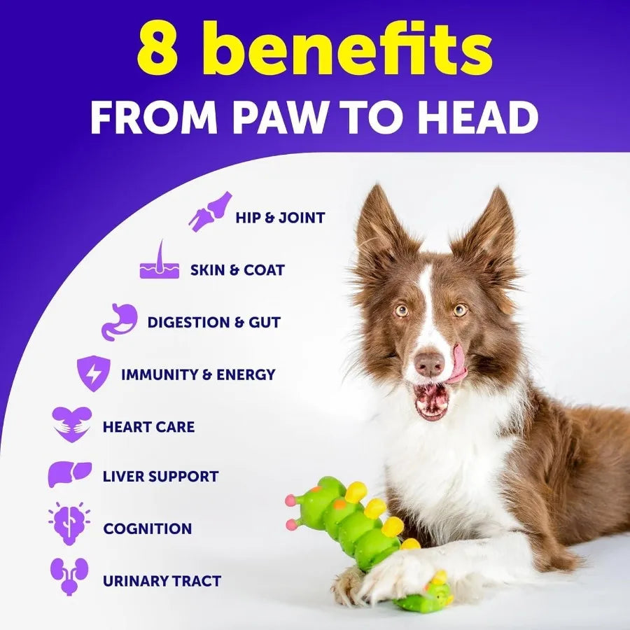 Dog Multivitamin Chewable with Glucosamine 20 in 1 Dog Vitamins and Supplements Senior Puppy Multivitamin for Dogs