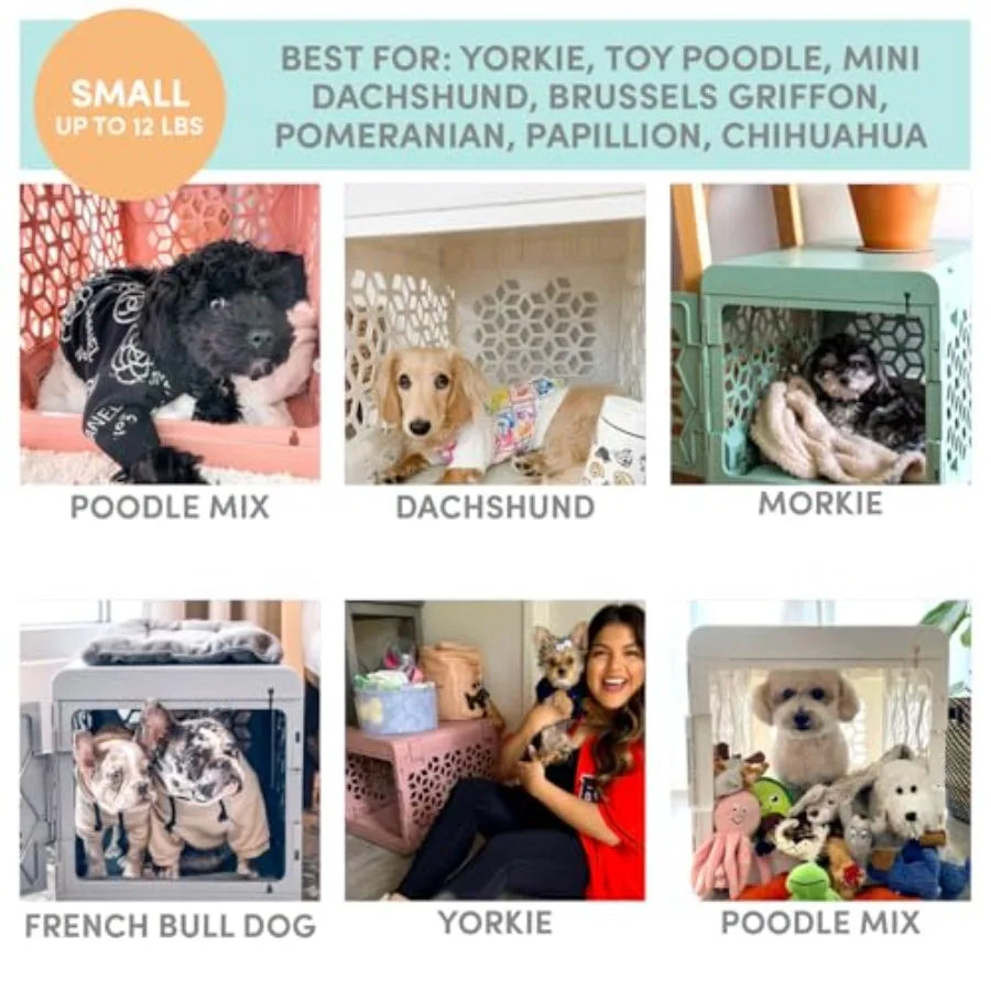 Stylish and Portable Collapsible Dog Crate with Washable Bed for Small Pets- Safe Indoor Kennel Set with Comfortable Pad -Lightweight