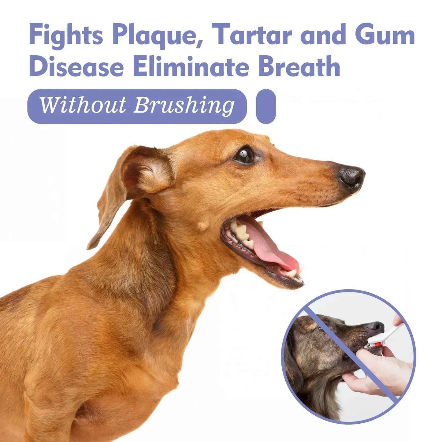 Pet Tooth Cleaning Spray Dogs- Bad Breath Freshener- Oral Cleaning Dental Care Deodorization Spray 30ml