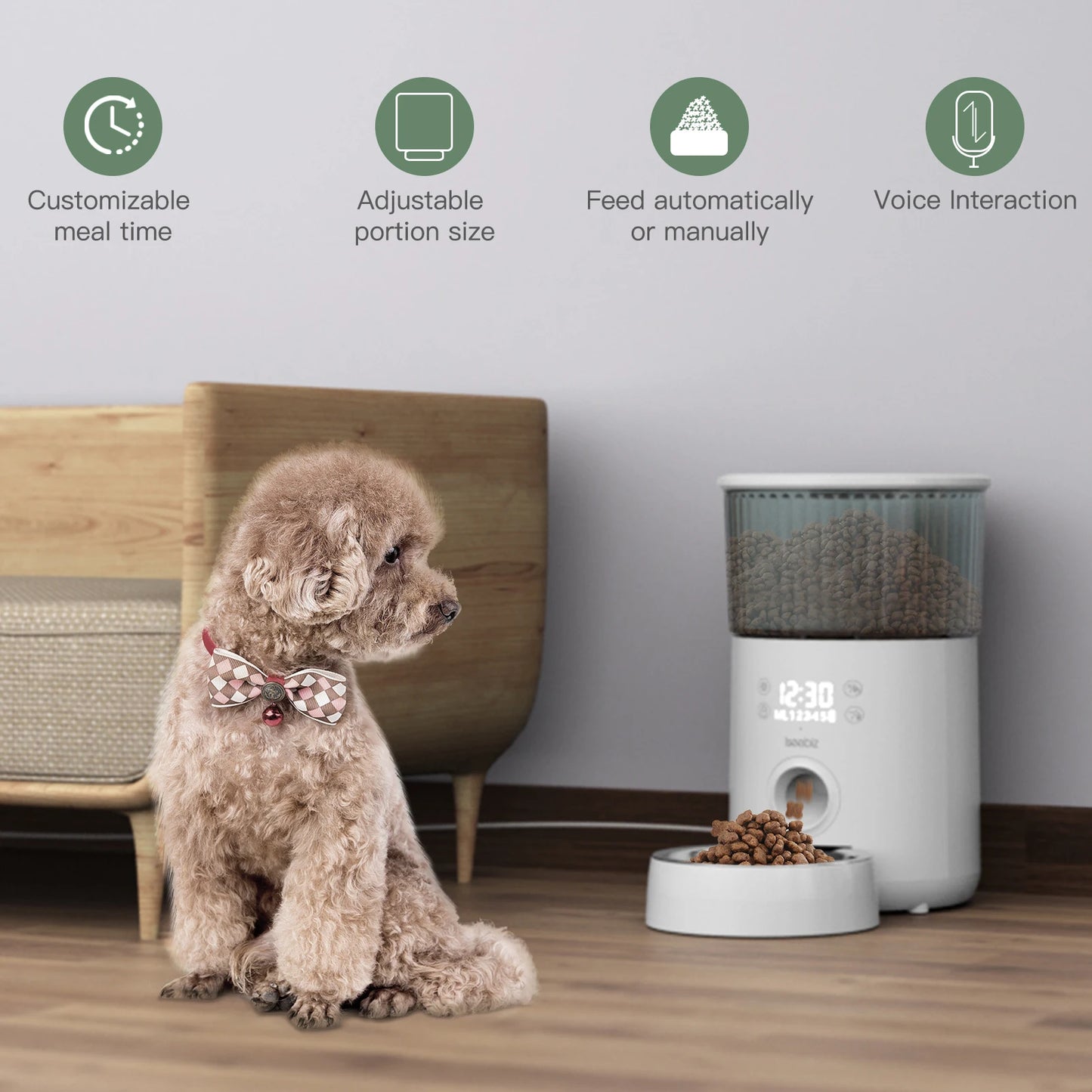 3L Automatic Pet Feeder With Voice Recorder-Food Bowl For Small Medium Dogs- LCD Screen Dispensers- up to 4 Times One Day