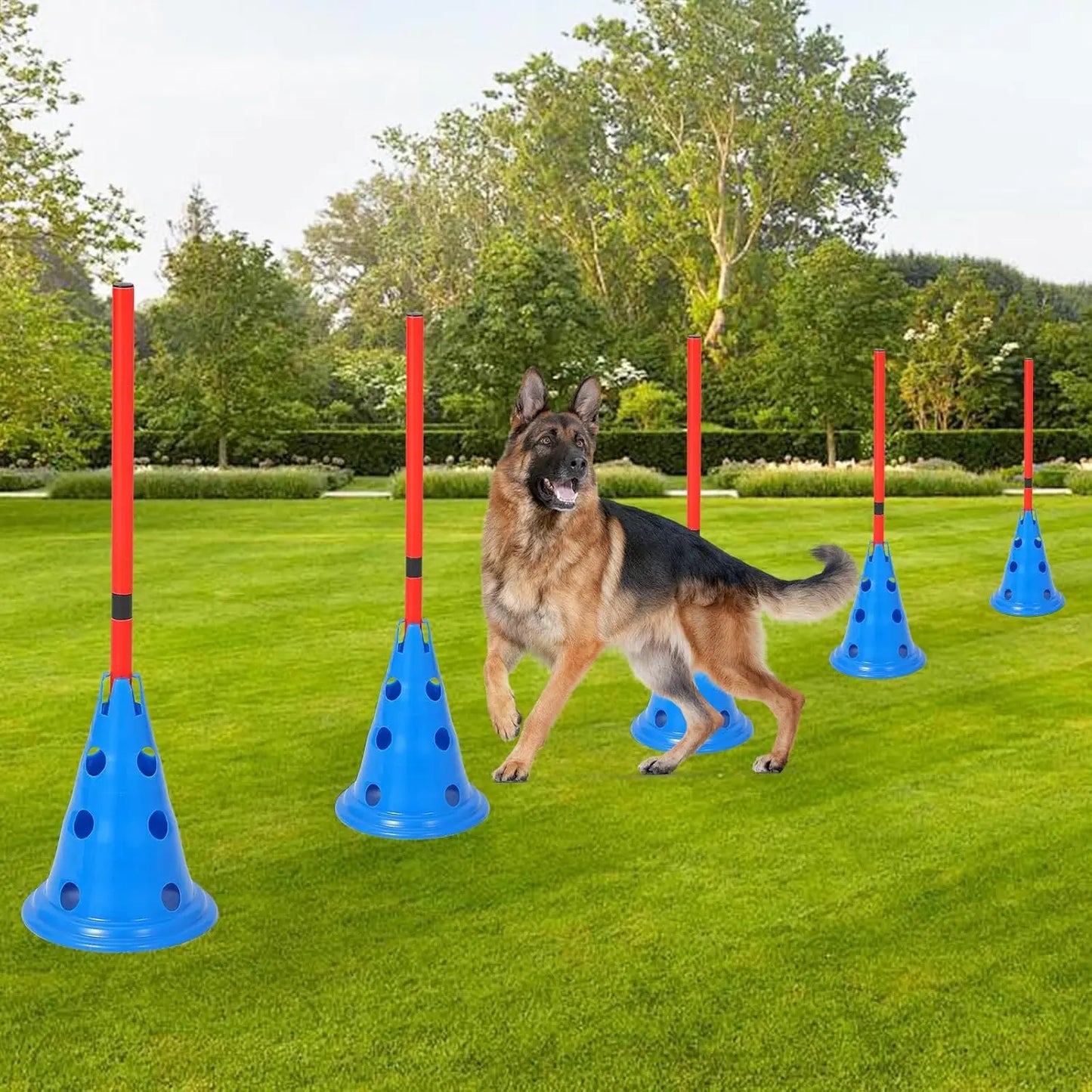 Dog Agility Hurdle Cone Set- Dog Agility Course- Backyard Set Includes 12 Agility Cones -6 Agility Rods Training Equipment