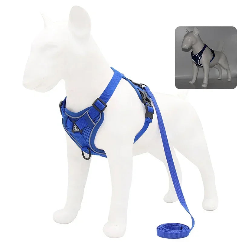 No Pull Dog Harness and Leash Set -Adjustable- Harness Vest- Sizes S to XL-Collars/Leashes