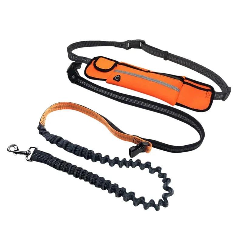 Hands Free Dog Leash with Zipper Pouch- Reflective Bungee for Medium Dogs- Walking Jogging and Running