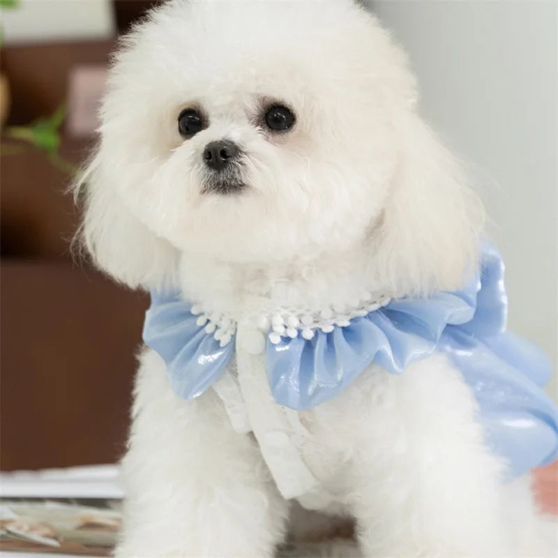 Adorable Small Dog Tutu Dress with Bowknot- Lace Princess Clothes Outfit- Apparel Female -Cute Pet Dress- Medium