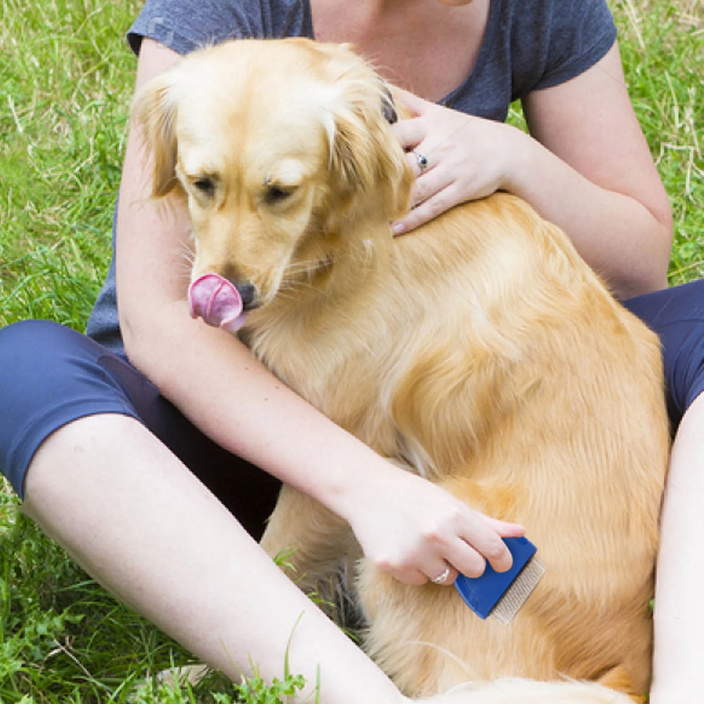 Flea Comb for Dog- Pet Hair Removal Comb-Pet Grooming