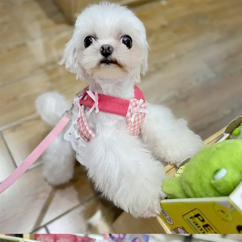 Dog Strawberry Lace Harness Leash Set- Vest Lace Chest Strap-Sizes XS to XL Dogs- Collars/Leashes