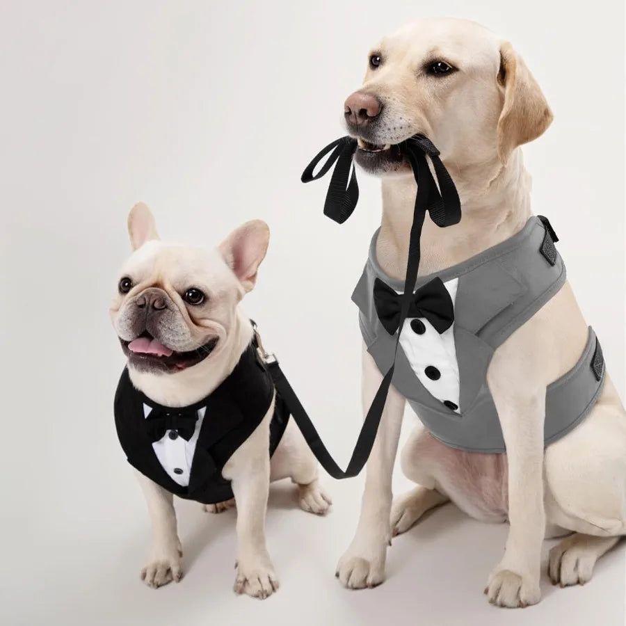 Adjustable Tuxedo Dog Harness for Small and Medium Dogs with No-Pull Design- Elegant Wedding Suit- Sizes 2XS to L-Costume/Apparel