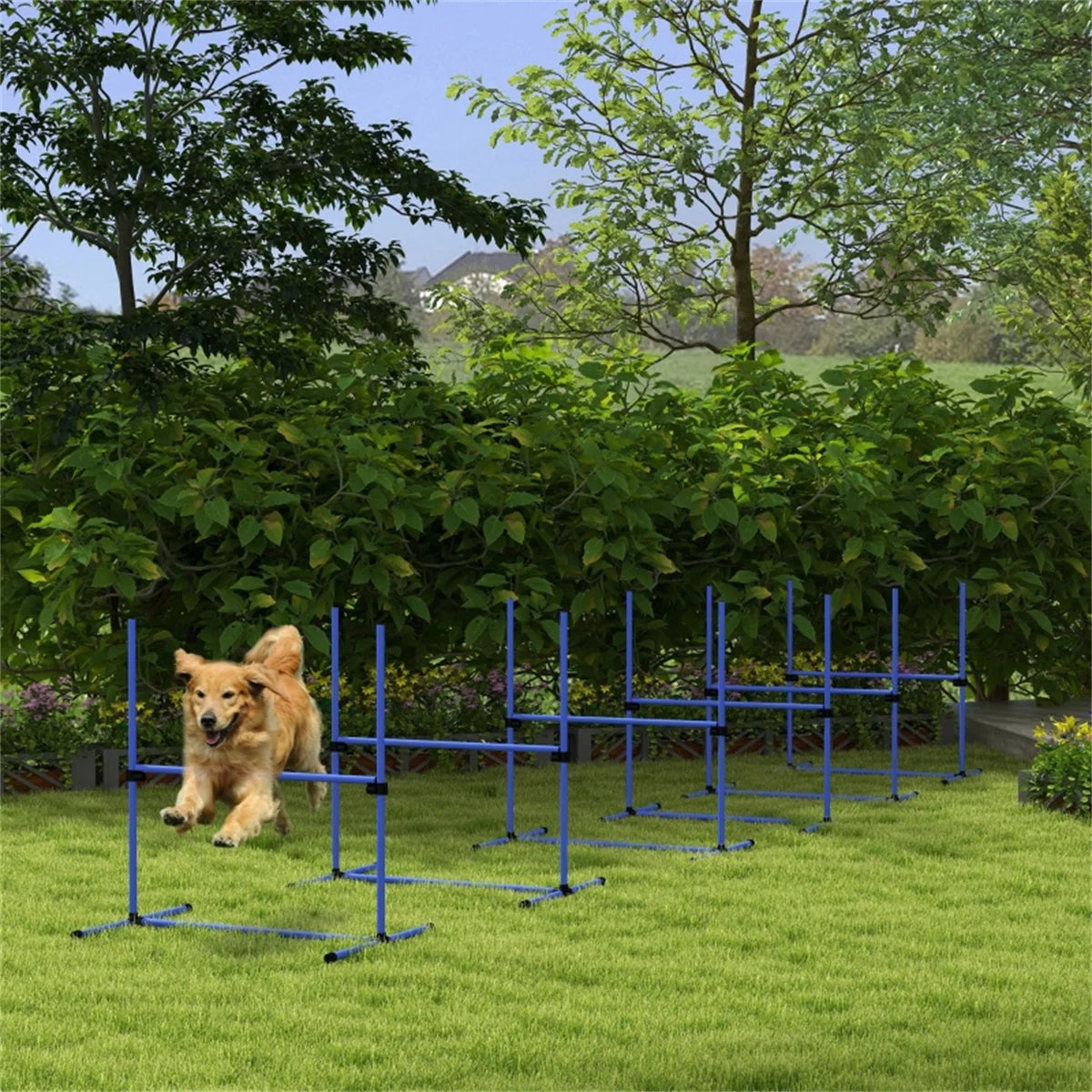 Agility Dogs Fences Set- Dog Play Fence-Puppy Fences