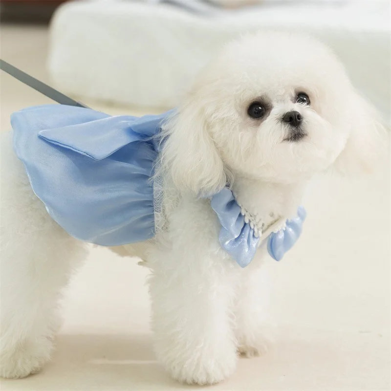Adorable Small Dog Tutu Dress with Bowknot- Lace Princess Clothes Outfit- Apparel Female -Cute Pet Dress- Medium