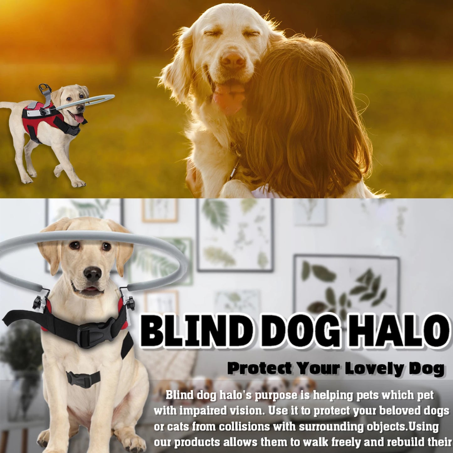 Blind Dog Halo Harness- Anti-Collision Blind Halo Ring for 11"-20"- Small and Medium Visually Impaired Pets