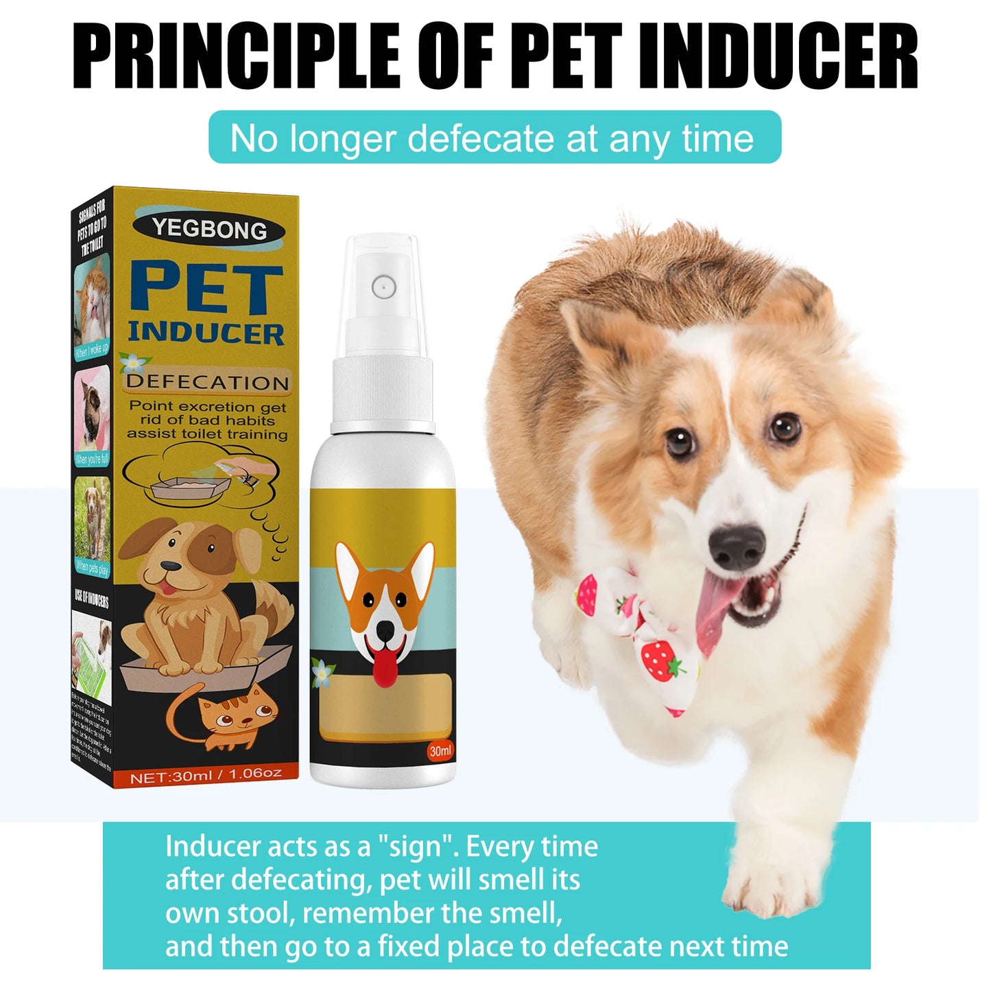 Dog Potty Training Spray -Induces Pets to Go Where You Want-Outdoor use- Stool Location- Helps Toilet train