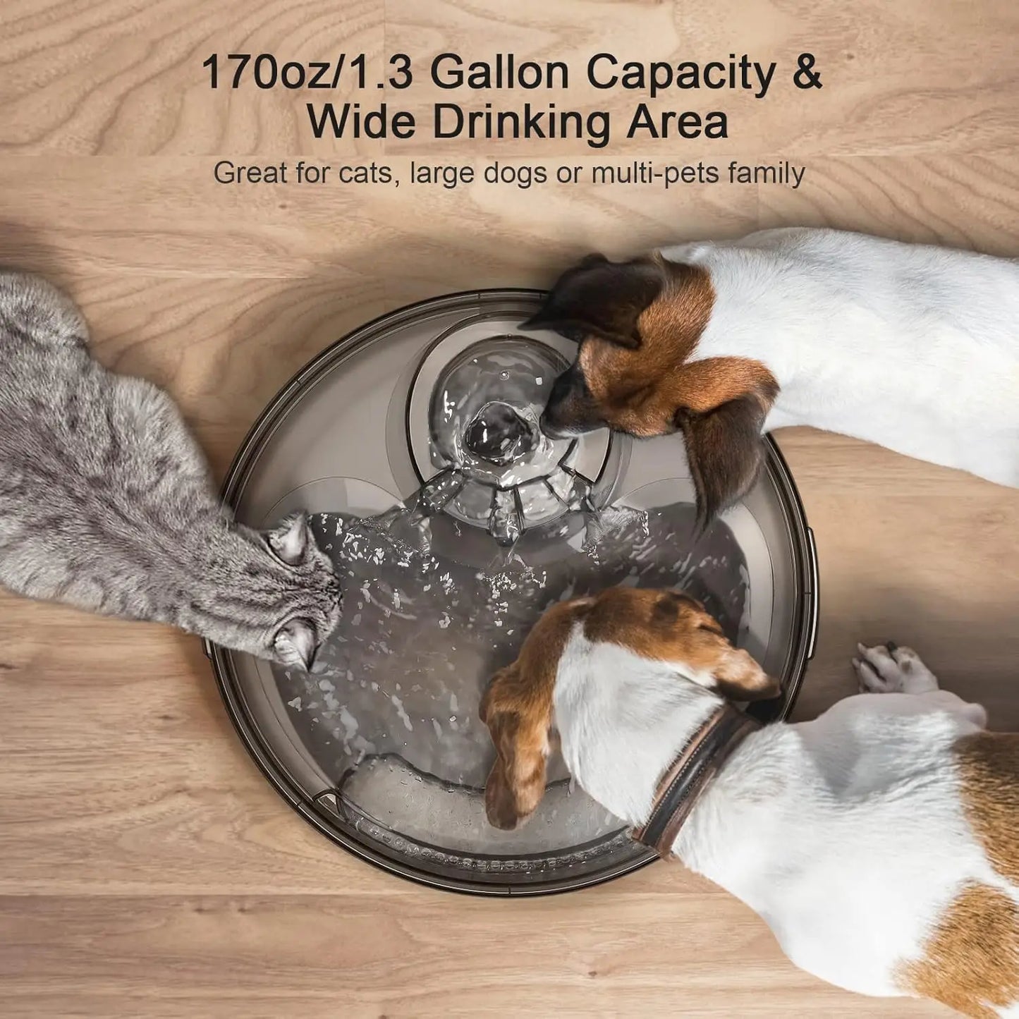 NPET DF10 Dog Water Fountain, 170oz/1.3Gallon/5L Large Automatic Pet Water Dispenser Dog Water Bowl for Cats, Dogs, Multiple Pets