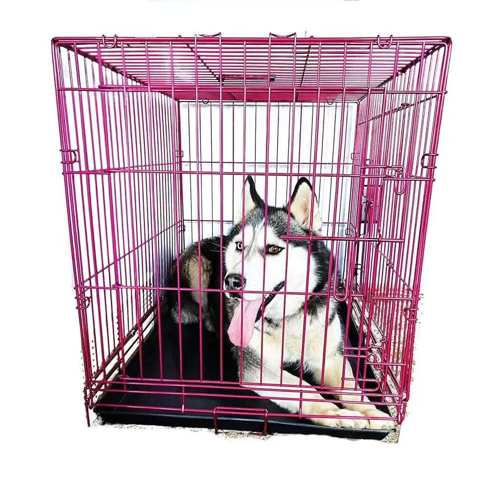 Pet Expressions Luxury Colorful 36" H Foldable Dog Crate With 2 Doors-Free Training E-Book And Pet Calming Music-Foldable