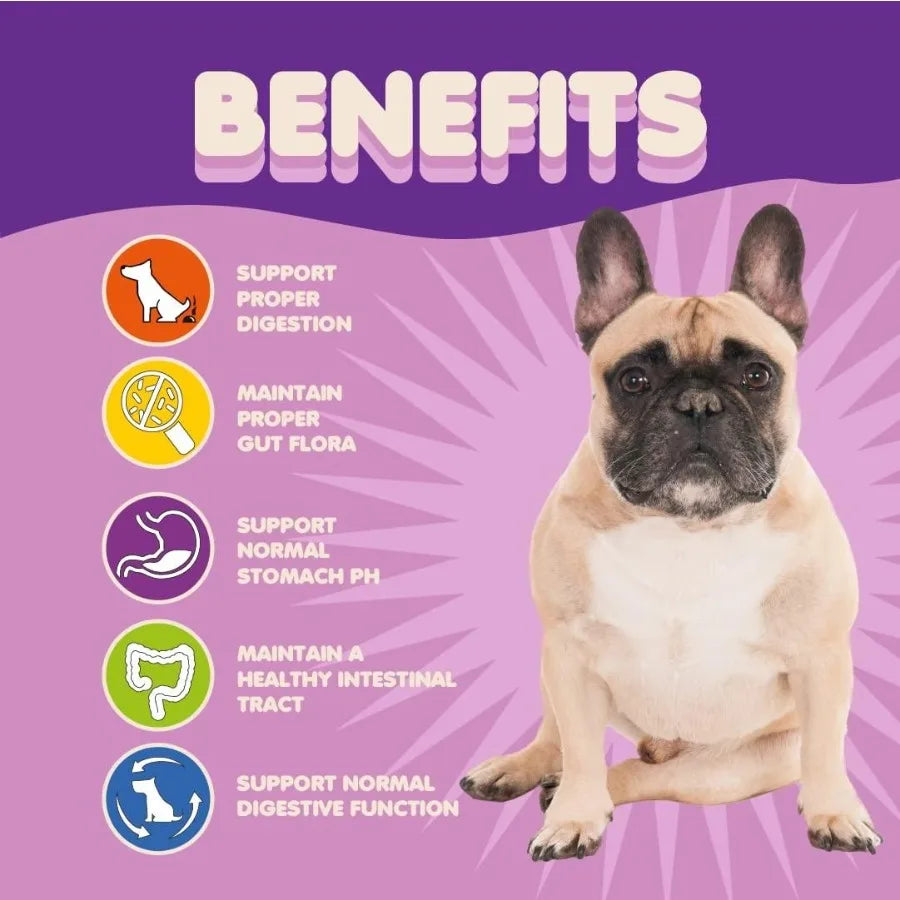 Probiotics for Dogs Puppies Extra Strength 9 Species 5 Billion CFU per Scoop of Dog Probiotics and Digestive Enzymes for Dogs