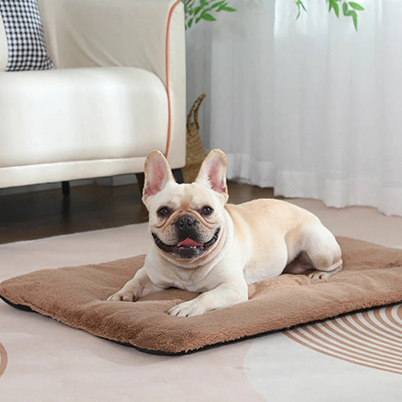 Heated Sleeping Mat- Cute Pet Mat Blanket-Sleeping Mat Small Dogs