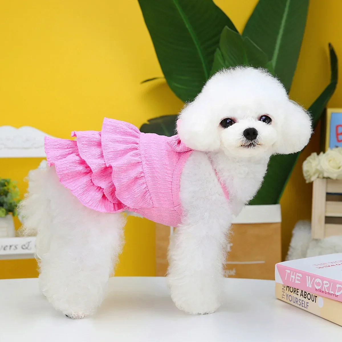 Spring Pet Clothes Dog Princess Dresses for Small Medium Costume