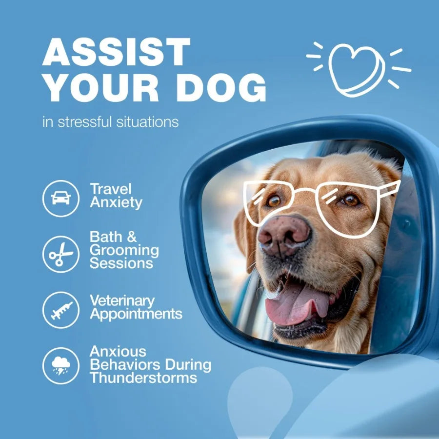 Hemp Calming Chews for Dogs- Anxiety Dog Calming Treats with Melatonin, Valerian Root, Chamomile Extract, Vitamin B Complex