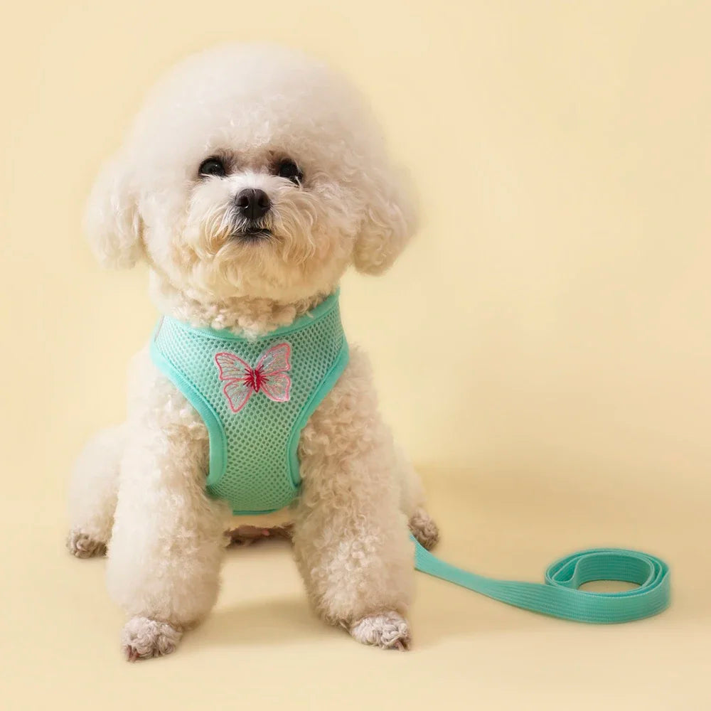 Cute Butterfly Breathable Dog Harness Set for Small Dogs- Vest-Leash