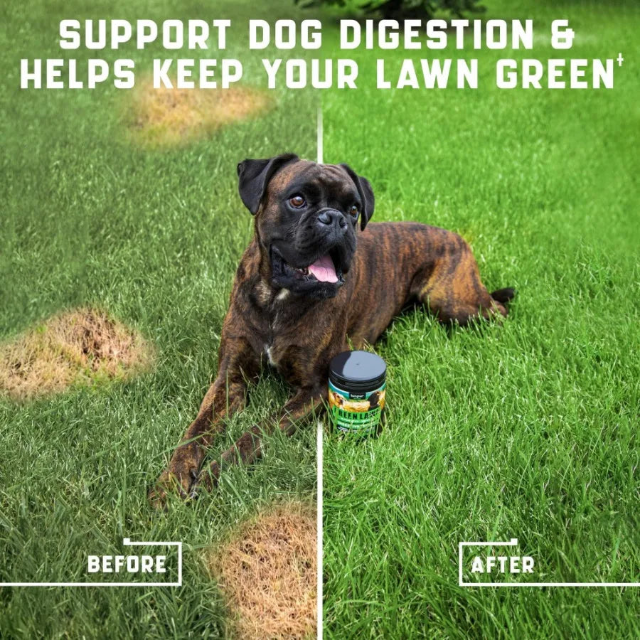 Green Lawn Chews for Dogs- Cranberry ACV Digestive Enzymes Natural Dog Urine Neutralizer for Lawn- Supports Healthy Bladder