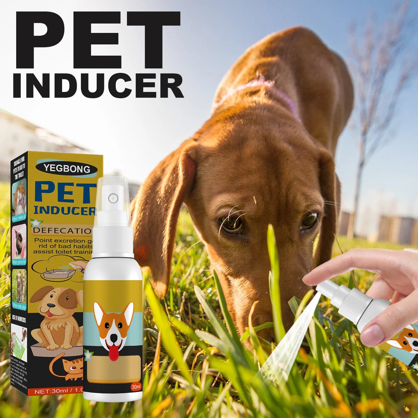 Dog Potty Training Spray -Induces Pets to Go Where You Want-Outdoor use- Stool Location- Helps Toilet train