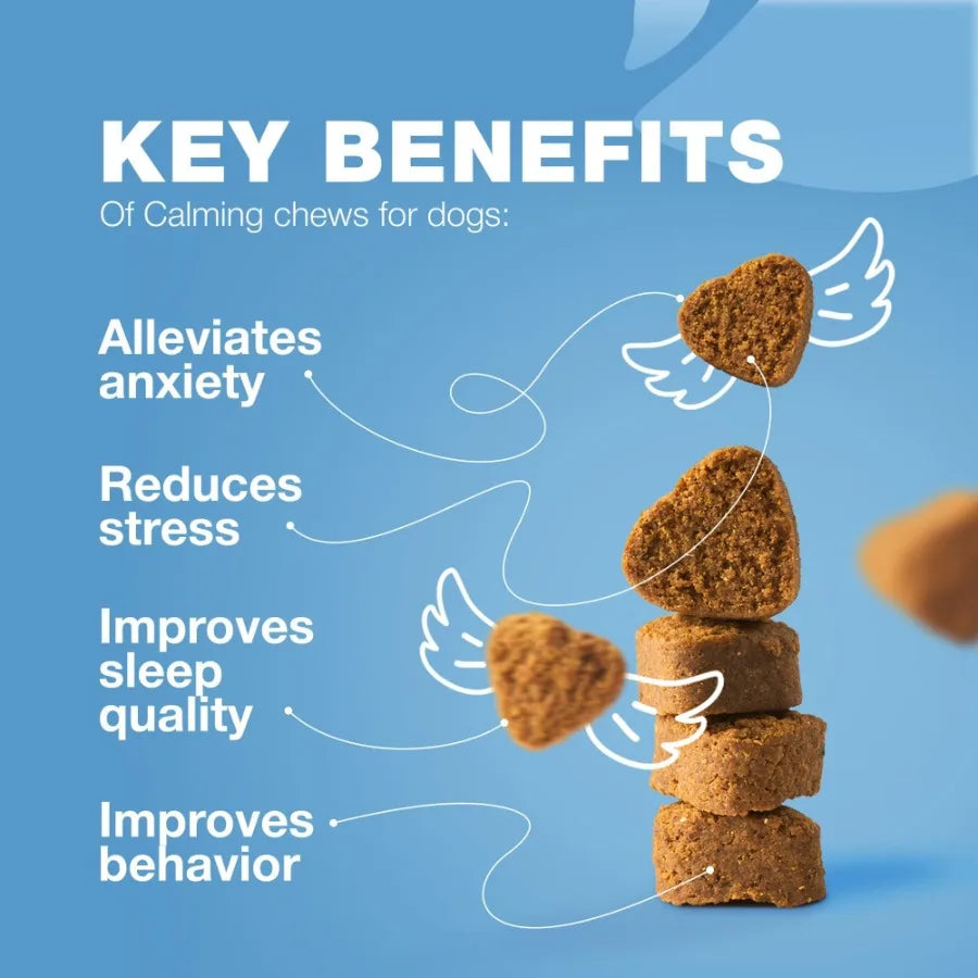 Hemp Calming Chews for Dogs- Anxiety Dog Calming Treats with Melatonin, Valerian Root, Chamomile Extract, Vitamin B Complex