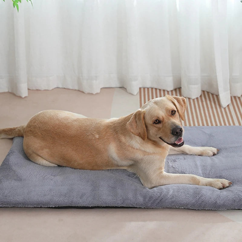 Heated Sleeping Mat- Cute Pet Mat Blanket-Sleeping Mat Small Dogs