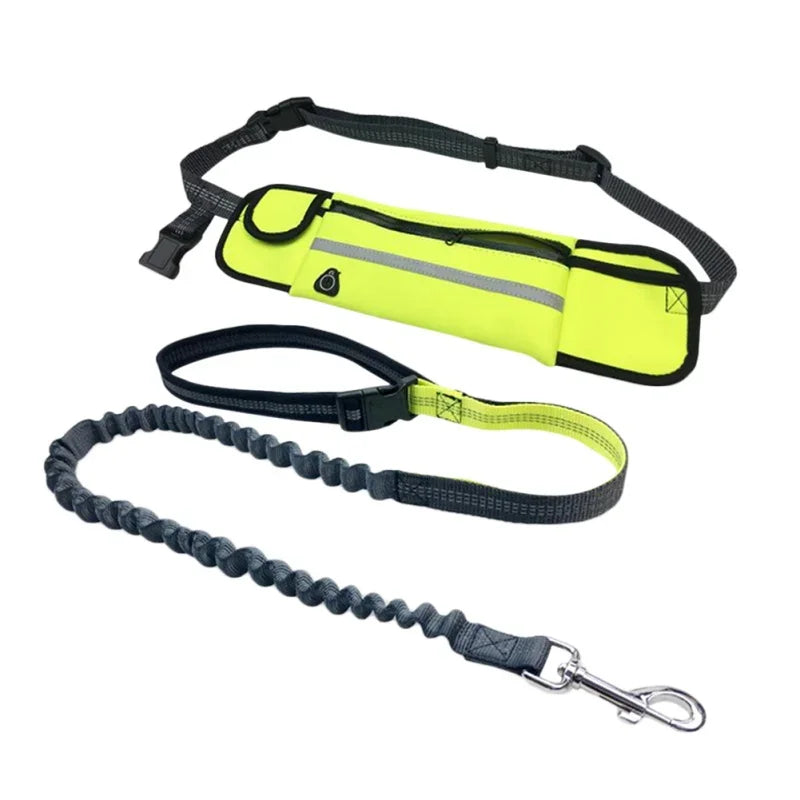 Hands Free Dog Leash with Zipper Pouch- Reflective Bungee for Medium Dogs- Walking Jogging and Running