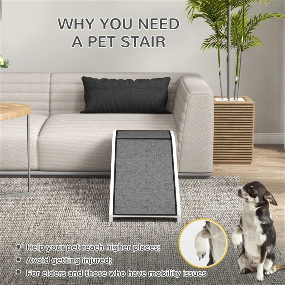 Pet Ramp-Flat Surface- Durability- Carpeted Surface-Anti-Slip Surface