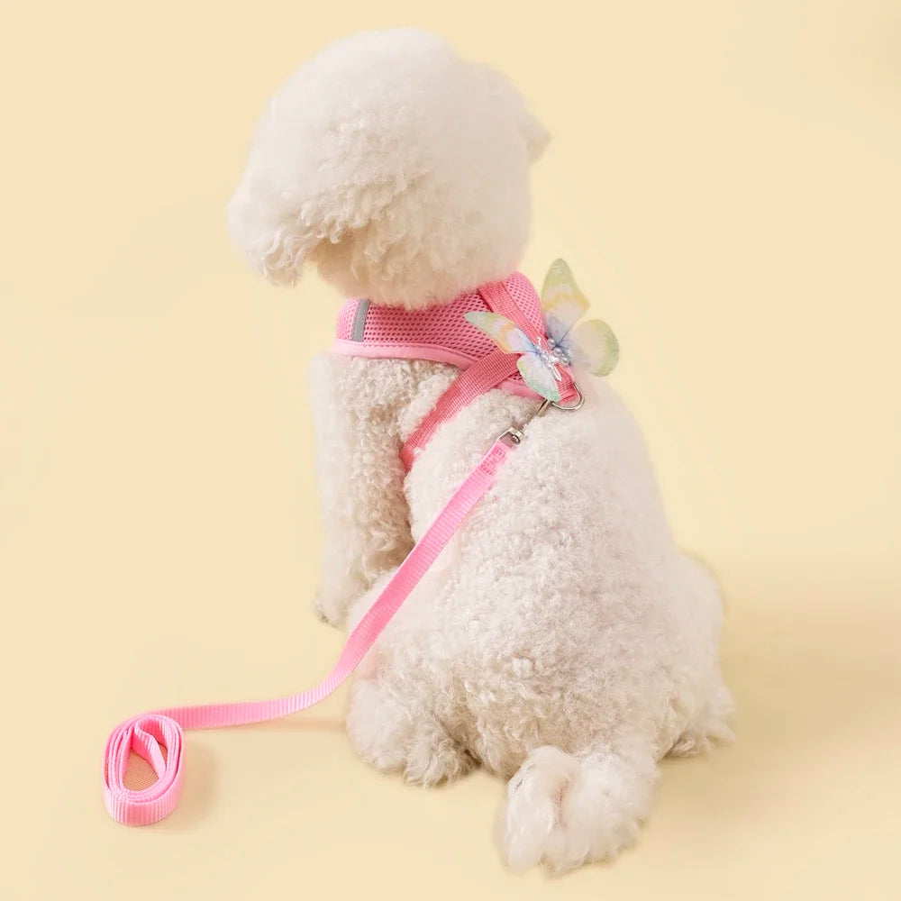 Cute Butterfly Breathable Dog Harness Set for Small Dogs- Vest-Leash