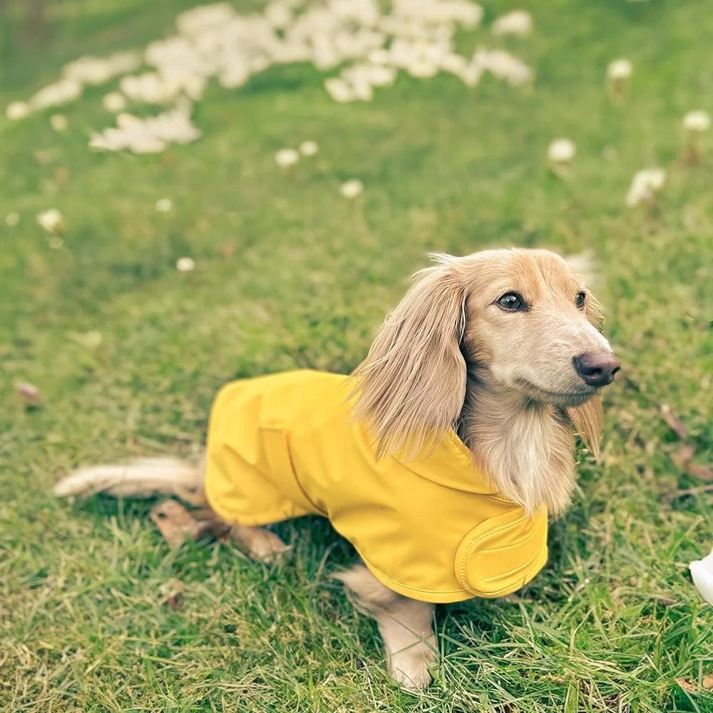 Dachshund Raincoat Long Dog Waterproof Jacket Adjustable Chest Belly Harness Access Windproof Weather Resistant Small Dogs