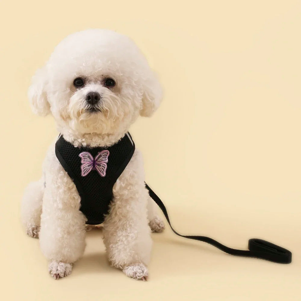 Cute Butterfly Breathable Dog Harness Set for Small Dogs- Vest-Leash