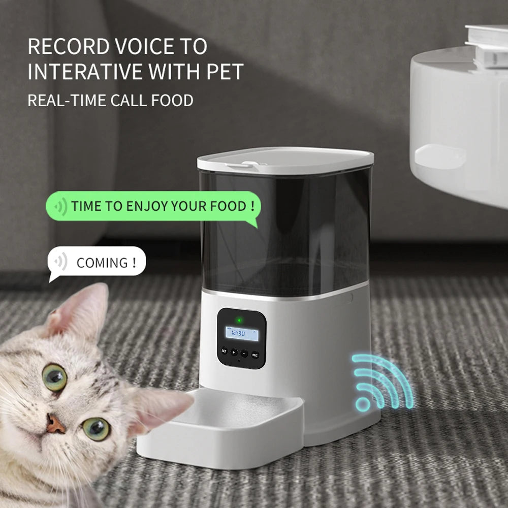 3L Automatic Pet Feeder With Voice Recorder-Food Bowl For Small Medium Dogs- LCD Screen Dispensers- up to 4 Times One Day