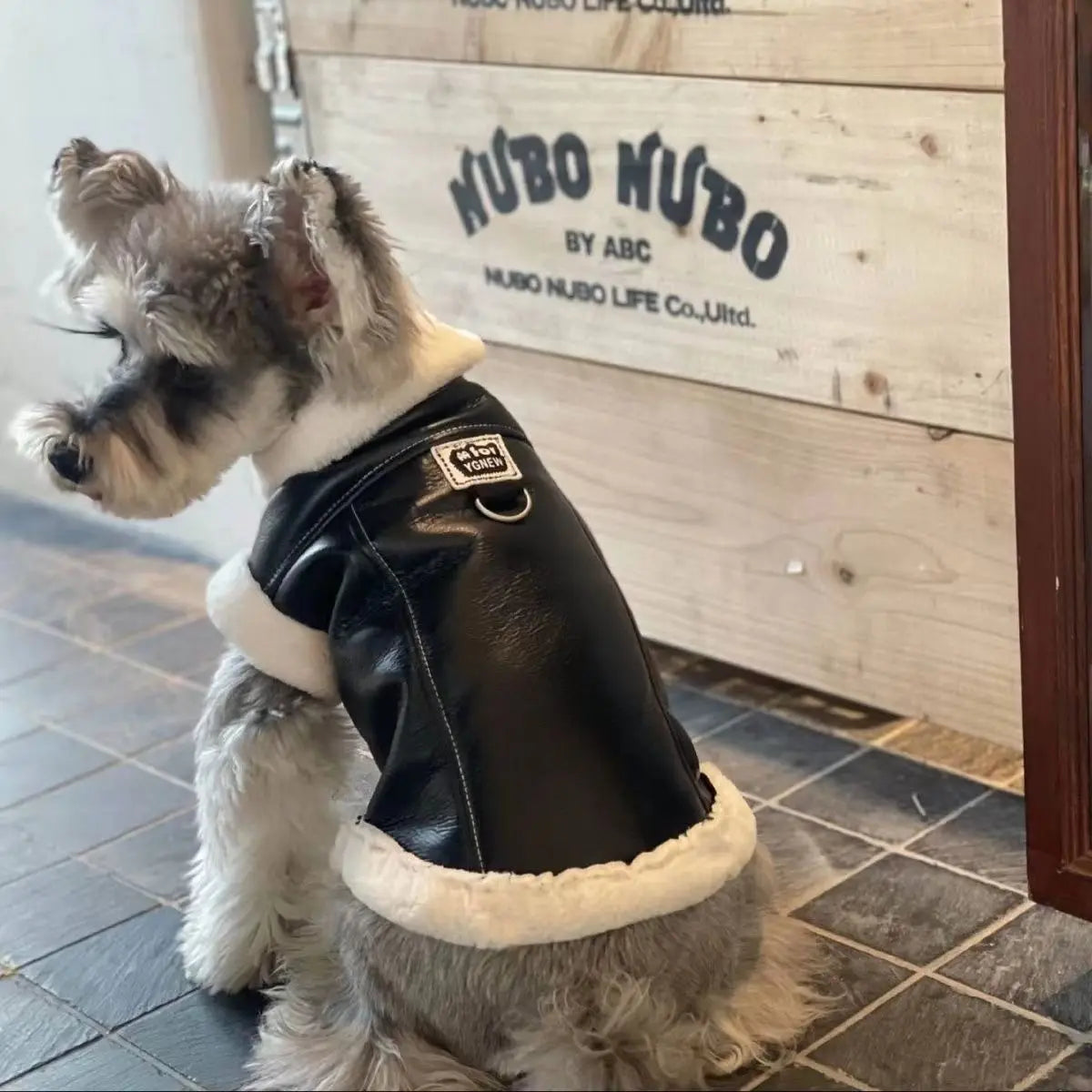 Awesome Padded Dog Vest-Solid Colors- Cotton-Sleeveless Jacket with Traction Buckle-Costumes/Apparel
