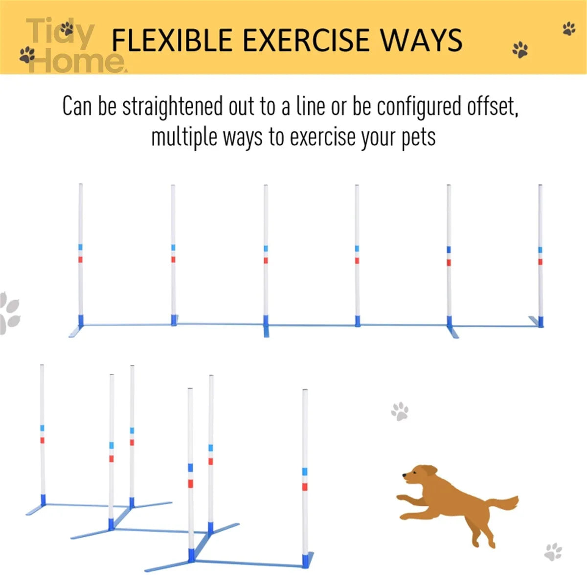 Dog Outdoor Exercise Training Set