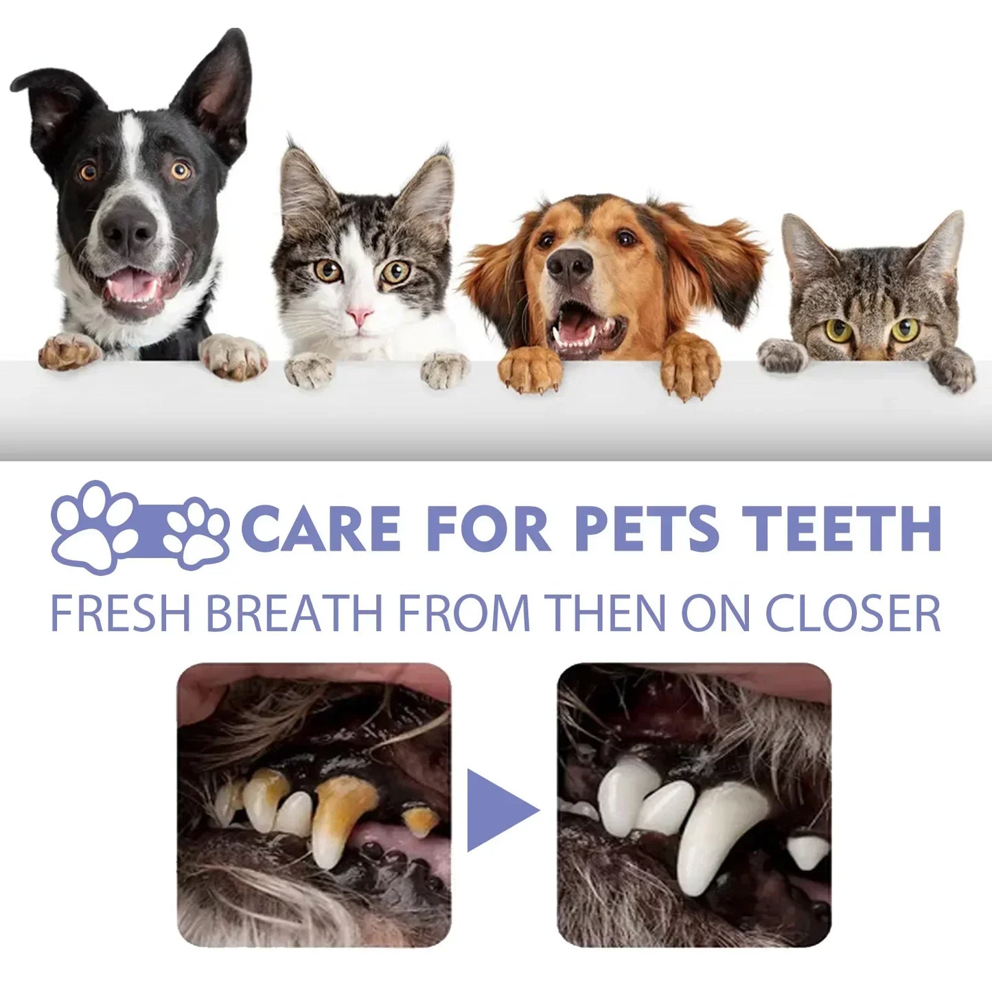 Pet Tooth Cleaning Spray Dogs- Bad Breath Freshener- Oral Cleaning Dental Care Deodorization Spray 30ml