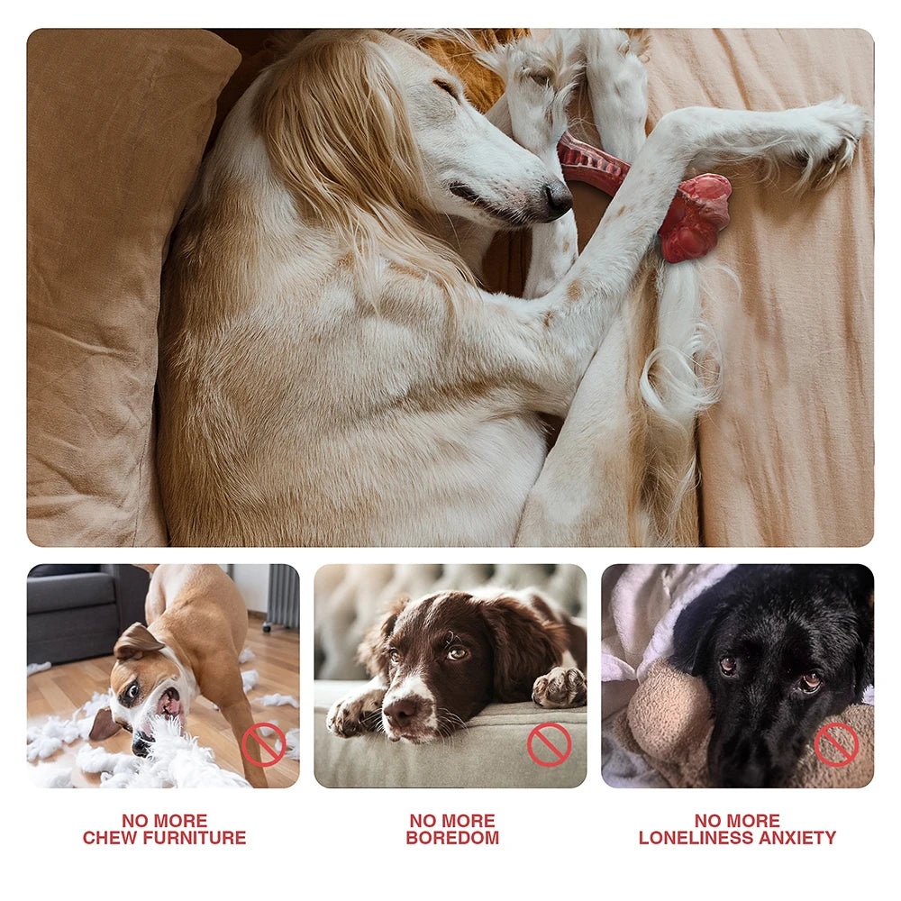 MASBRILL Dog Toys Aggressive Chewers small, Medium and Large Dogs Bone-Shaped Indestructible Dog Toys Nylon Interactive Dog Toys Teeth Cleaning