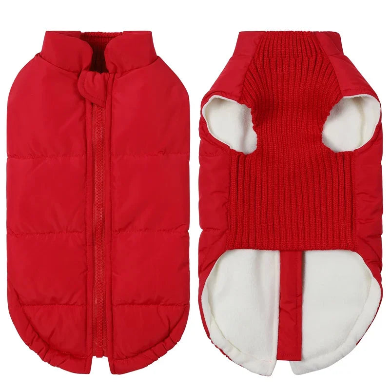 Winter Warm Dog Cotton Coats- Back Zipper- Windproof- Thickness Clothes for Small Medium Dogs Chihuahua French Bulldog Outfits