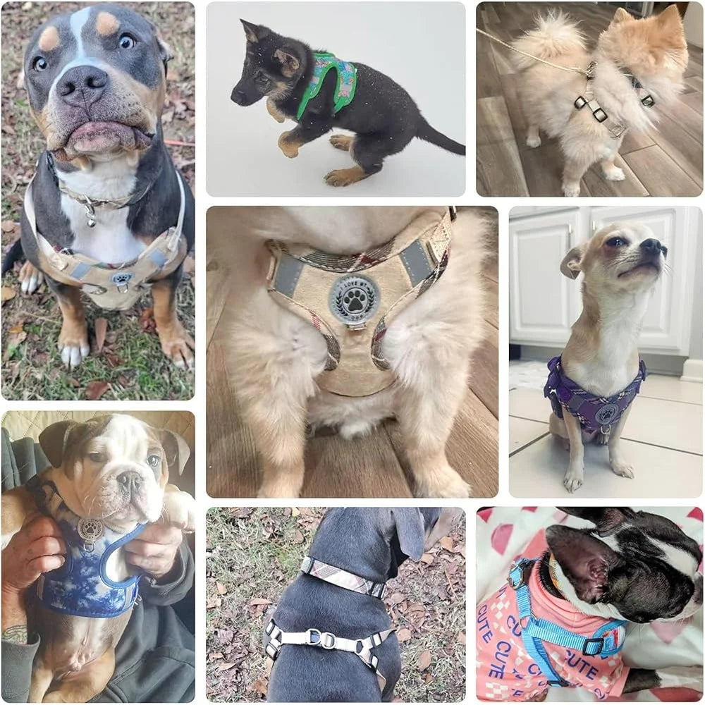 No Pull Dog Harness Collar Leash Set Step In Adjustable Mesh Reflective Soft Small Medium Large Breeds